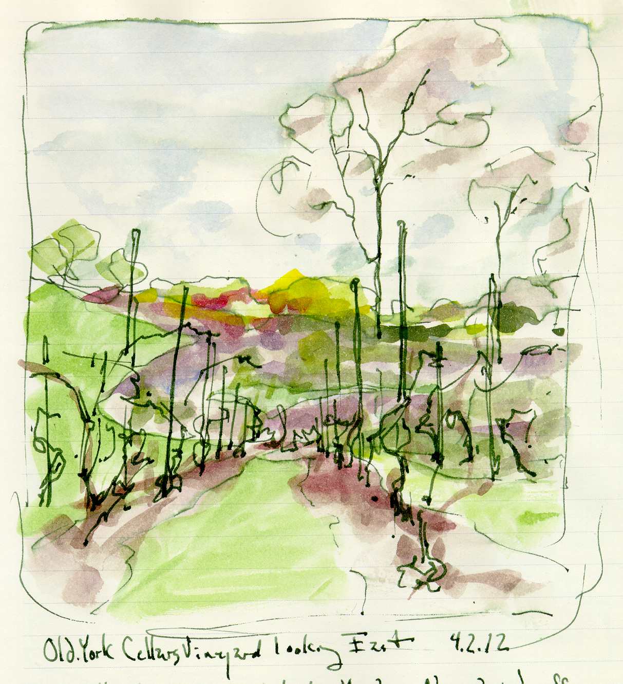 1213x1331 Old York Cellars Vineyard Ink Wtarcolor Sketchbook Drawing Chris