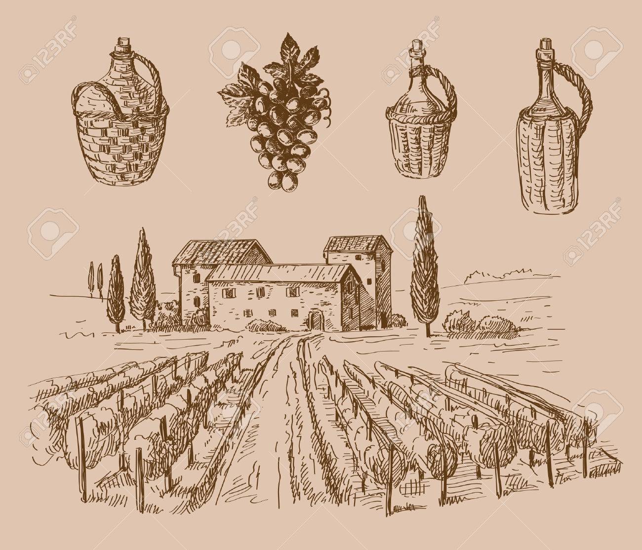 1300x1114 Vector Hand Drawn Wine Sketch And Vineyard Doodle Royalty Free