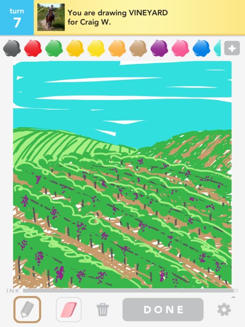 500x667 Vineyard Drawings