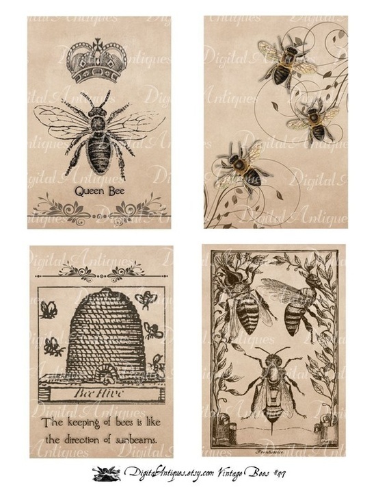 550x711 Vintage Bees Printables. Vintage Graphics Vintage