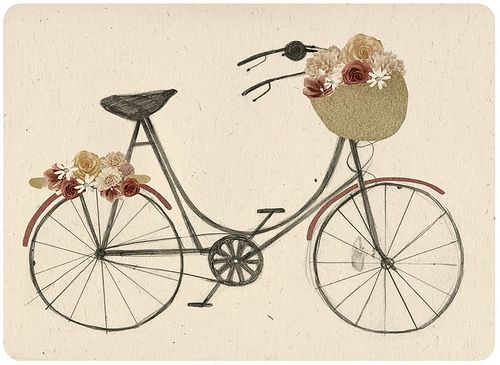 500x365 519 Best Bikes Illustrations Images On Bicycles