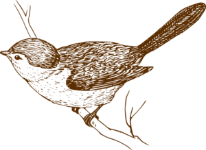 300x219 Brown Bird On Branch Clip Art