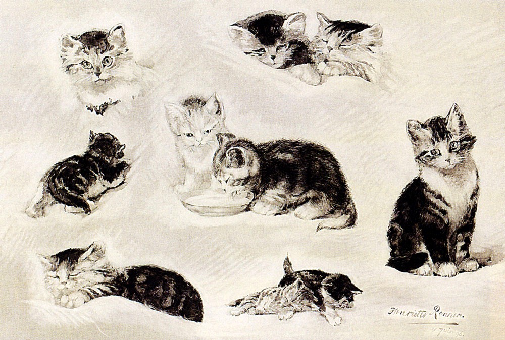 1000x674 Art Drawing Animal Cat Knip (2) Vintage Printable