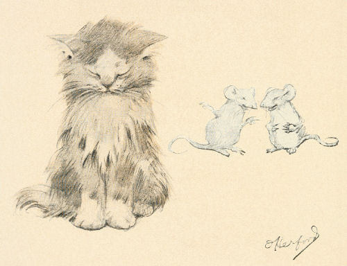 500x384 Cat Amp Mice Drawing