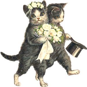300x300 Image Result For Vintage Cat Drawing Art Cat