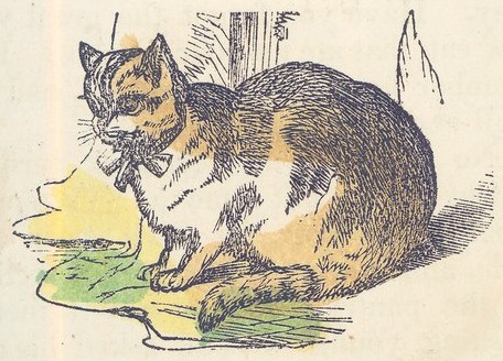 456x328 Vintage Cat Illustration