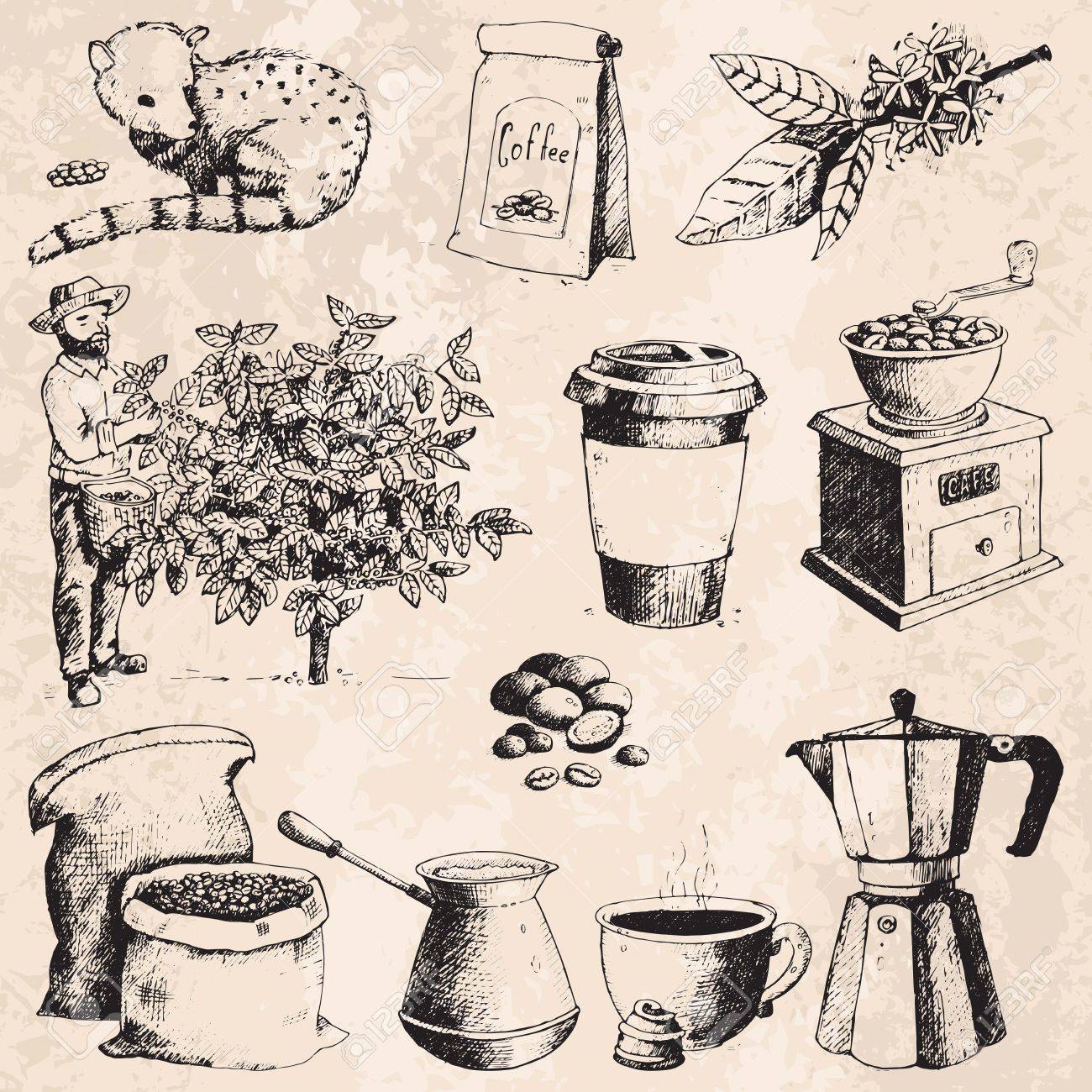 1300x1300 Coffee Production Hand Drawn Farmer Picking Beans On Tree