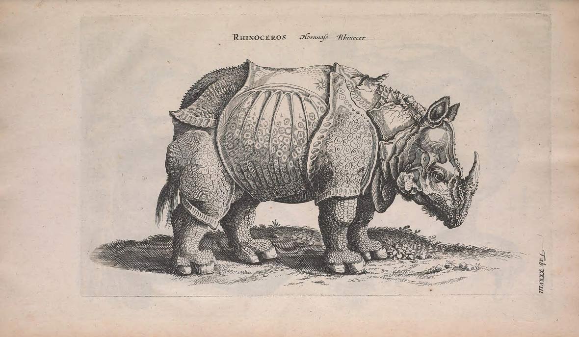 1180x687 Top 10 Amazing Stories Behind Vintage Biology Drawings Art