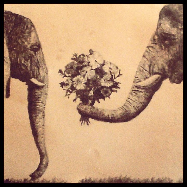 720x720 12 Best Elephant Drawings Images On Elephants
