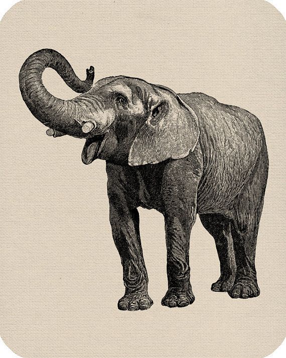 570x713 298 Best Drawing Inspiration Images On Drawings