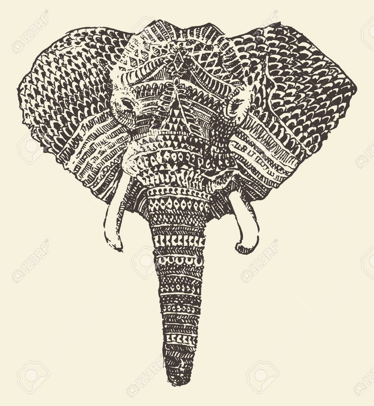 1199x1300 Elephant Head Stock Photos. Royalty Free Business Images