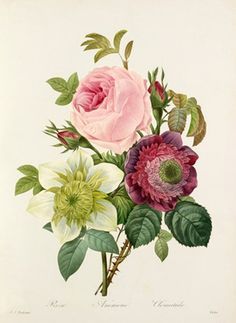 Vintage Flower Drawing at GetDrawings | Free download