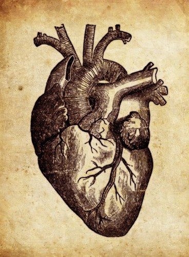 368x500 Google Image Result For Contentuploads