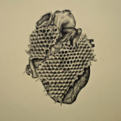 250x250 Heart Drawing, Pencil, Sketch, Colorful, Realistic Art Images
