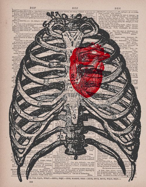 500x642 Human Heart Ribcage Vintage Dictionary Print Artsy