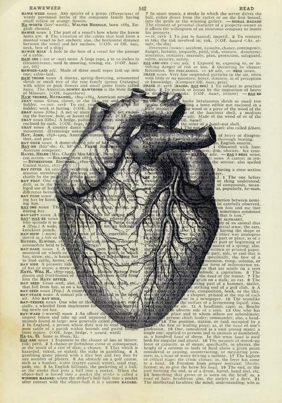 561x800 Vintage Heart Dictionary Page Print Anatomical Heart, Anatomy