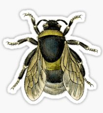 210x230 Honey Bee Drawing Stickers Redbubble