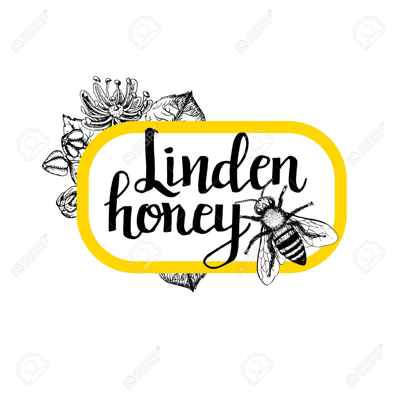 1300x1300 Package For Honey Bee. Black And White Graphic Vintage Design