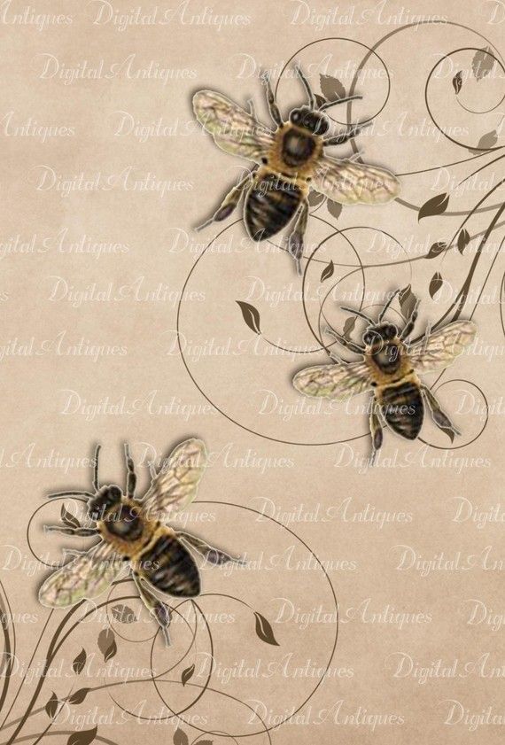 570x841 Vintage Bees Printable Images Digital Download Vintage Bee, Bees