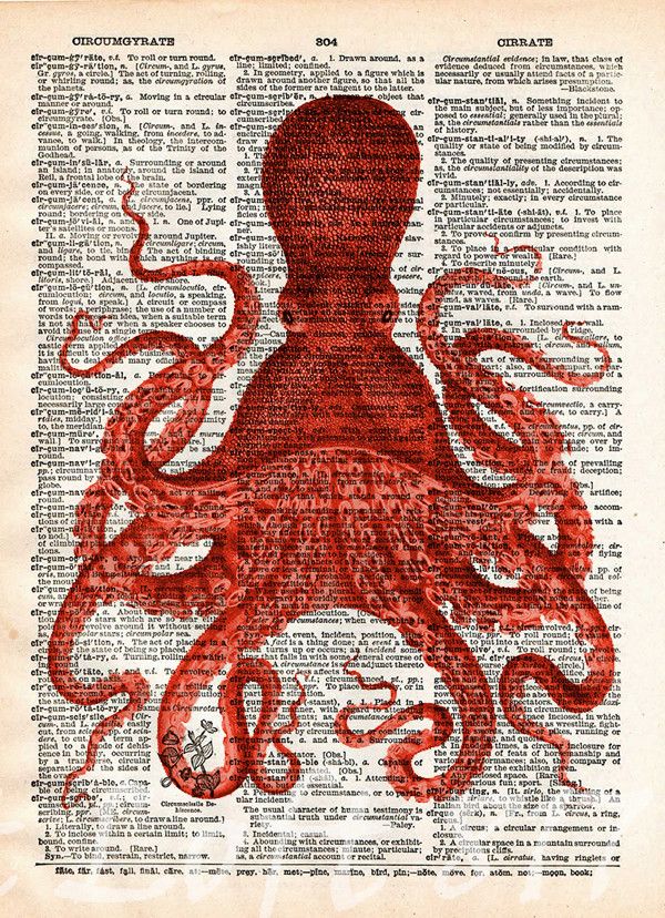 600x828 Octopus Wall Art, Vintage Octopus Drawing, Dictionary Print, Book
