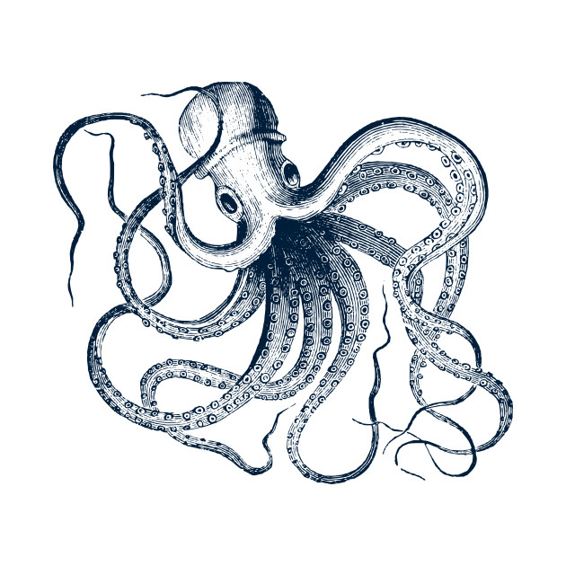 Vintage Octopus Drawing at GetDrawings | Free download