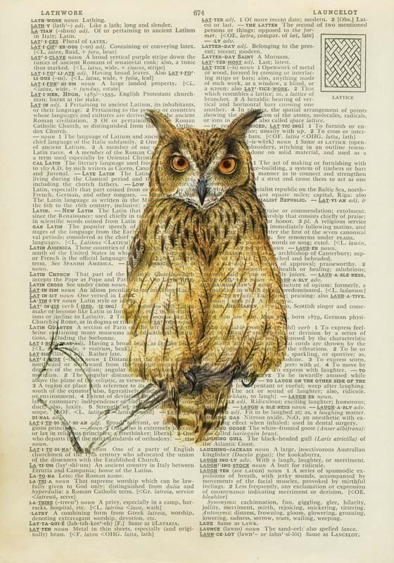 560x800 Vintage Owl Printables Bird Prints Vintage Owl