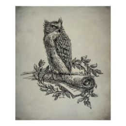 260x260 Vintage Owl Illustration Decor