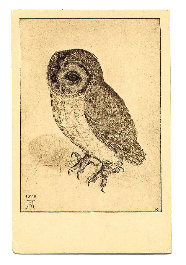630x896 Vintage Owl Drawing Ink Ideas