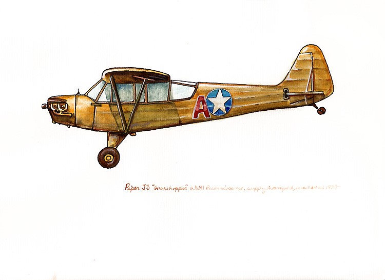 750x546 Piper J3 Grasshopper Vintage Airplane Watercolor Print 8x10