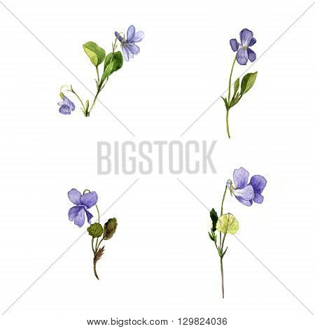450x470 Watercolor Drawing Wild Blue Image Amp Photo Bigstock