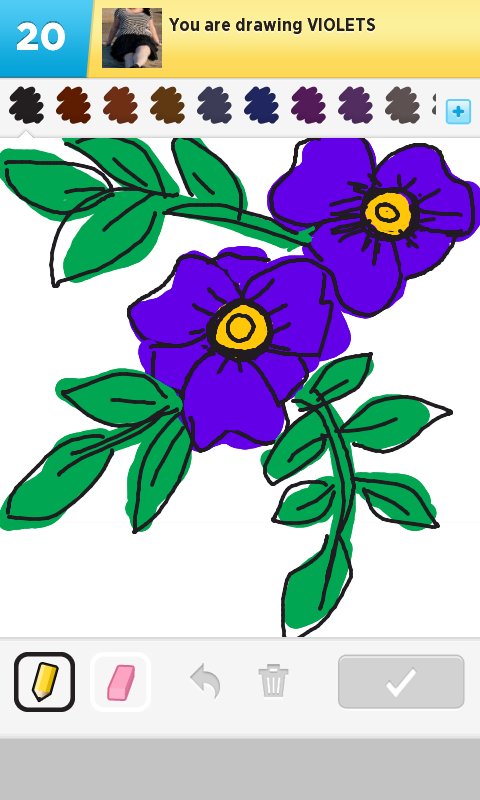480x800 Violets Drawings