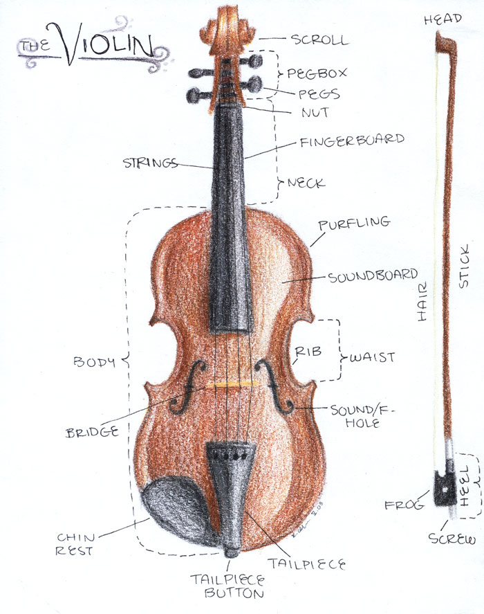 Violin Drawing at GetDrawings | Free download