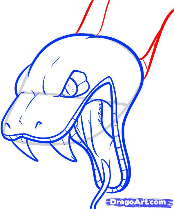 600x722 How To Draw A Snake Head, Draw Snake Heads, Step By Step, Snakes