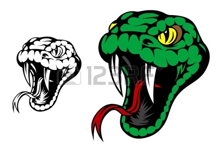 450x309 Viper Snake Hand Drawn In Old Sketch, Vintage Style Royalty Free