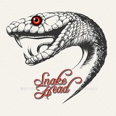 236x236 Snake Head Drawing