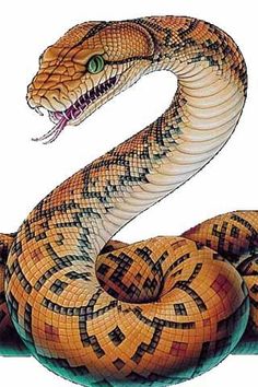 236x354 King Cobra With Pencils Drawing Tutorials King Cobra