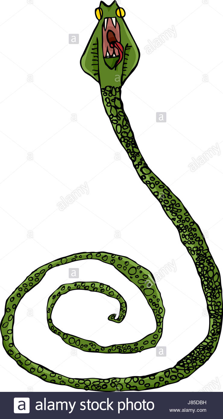 740x1390 Snake Drawing Photo Picture Image Copy Deduction Scales Cobra Coil