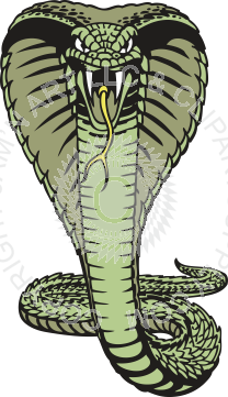 208x361 Snake In Color