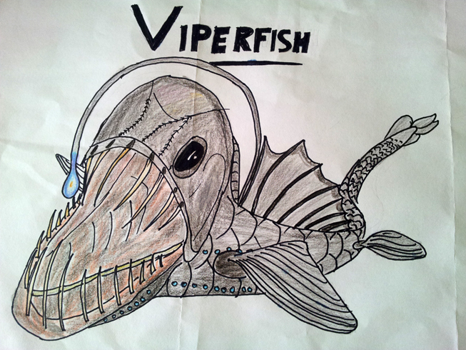653x490 Cool Facts About Viper Fish I Can Do It!