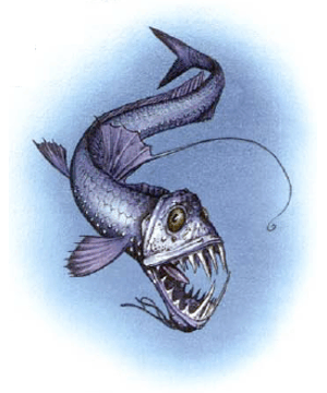 300x360 Fish, Deep Ocean (Monstrous Manual)