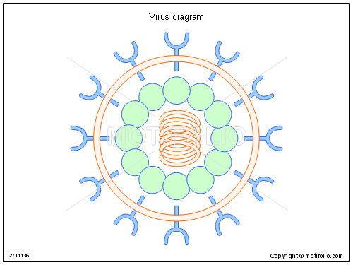500x375 Virus Diagram Illustrations