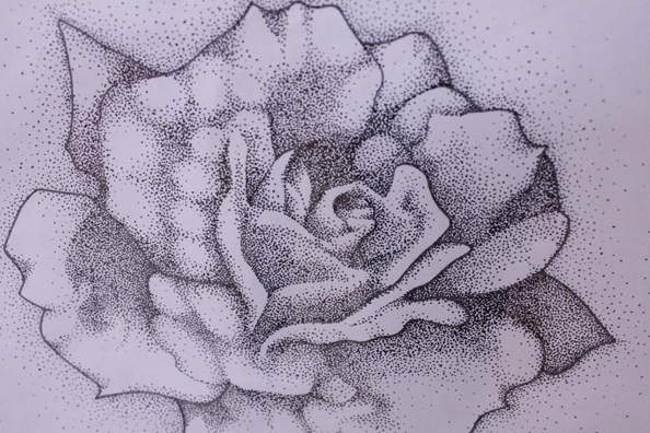 594x396 Trent Visual Arts Network Exhibiting Art Throughout February