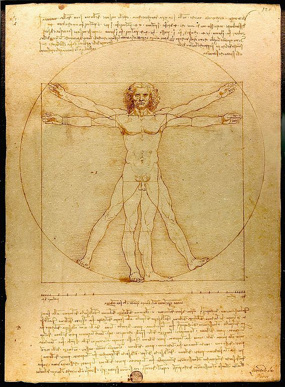 565x768 The Vitruvian Man