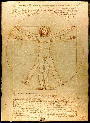 300x408 Vitruvian Man