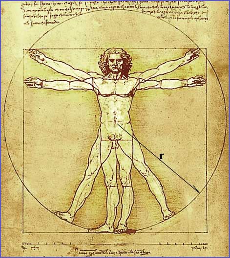 471x527 Vitruvian Man By Leonardo Da Vinci