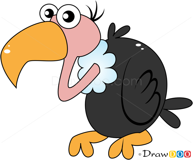 800x665 How To Draw Vulture, Birds