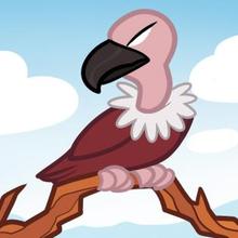 220x220 How To Draw How To Draw A Vulture For Kids