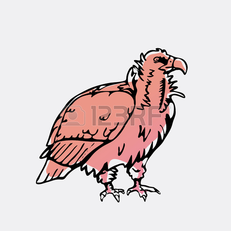450x450 2,049 Vulture Stock Illustrations, Cliparts And Royalty Free