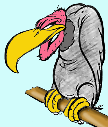 350x413 Image Result For Vulture Cartoon Images Tattoos
