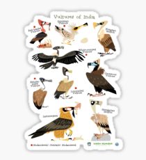 210x230 Vultures Drawing Stickers Redbubble